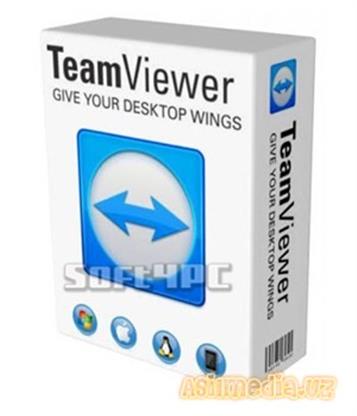 TeamViewer 13.0.6447