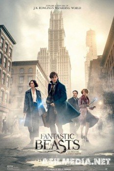 Fantastic Beasts and Where to Find Them