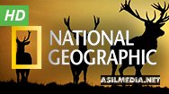 National Geographic HD