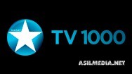 TV1000