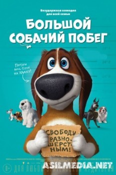 Большой собачий побег