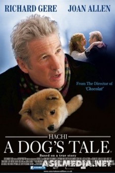 Hachi: A Dog's Tale