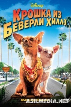 Крошка из Беверли-Хиллз