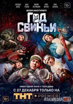 Год свиньи TAS-IX