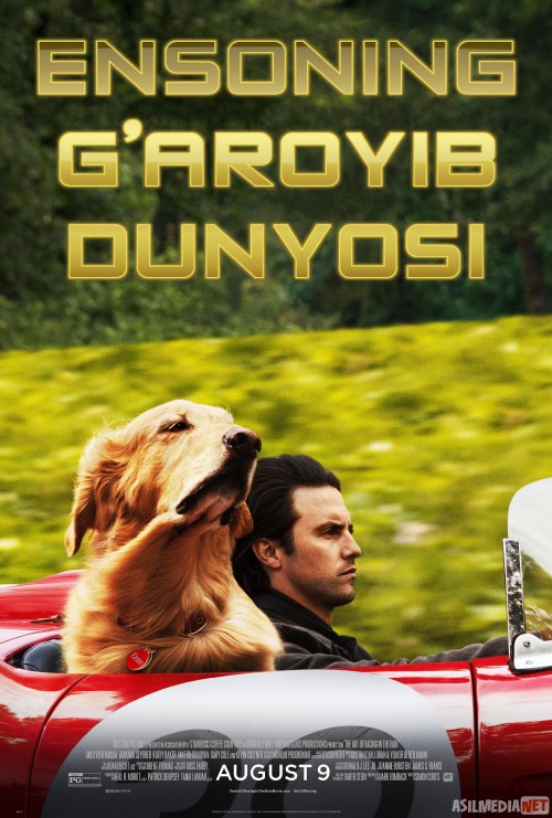 Ensoning g'aroyib hayoti / Yomg'irdagi poyga Uzbek tilida 2019 kino HD
