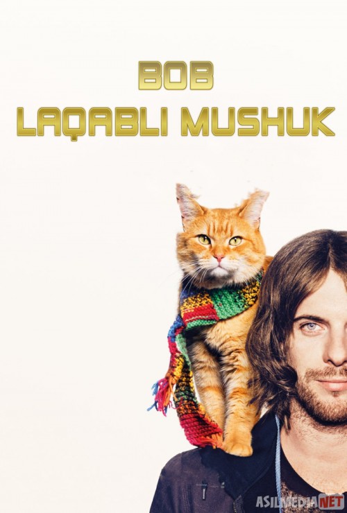 Najotkor Bob / Bob laqabli mushuk Uzbek tilida 2016 O'zbekcha tarjima kino HD