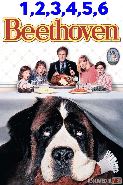 Betxoven / Bethoven kuchuk 1, 2, 3, 4, 5, 6 Uzbek tilida 1992-2008 O'zbekcha tarjima kino HD