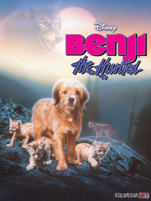 Benji adashib qoldi / yo'qoldi Uzbek tilida 1987 O'zbekcha tarjima kino HD
