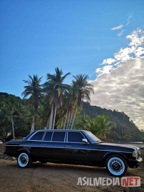 JACO-BEACH-PALM-TREE-LIMOUSINE-CENTRAL-AMERICA.jpg