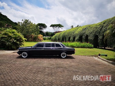 GREEN-GARDEN-AND-MERCEDES-LIMOUSINE.-LOS-SUENOS-COSTA-RICA.jpg