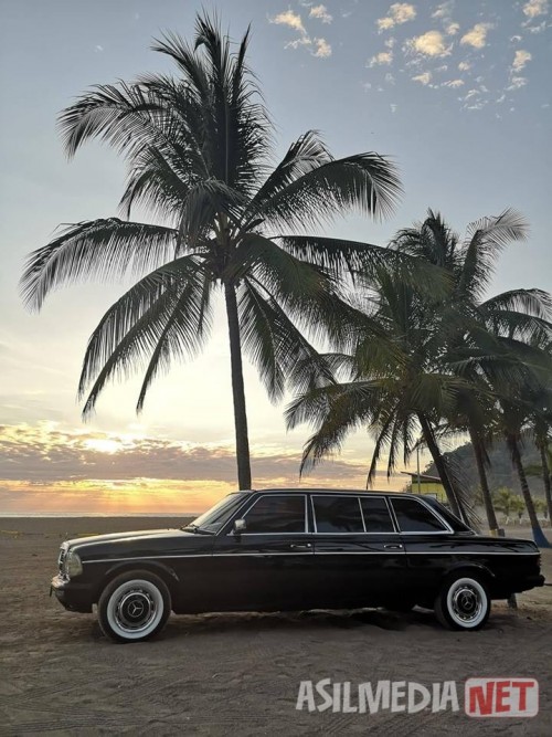 PALM-TREE-LIMOUSINE-COSTA-RICA.jpg