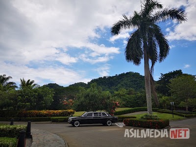 LARGE-PALM-TREE-AND-MERCEDES-LIMOUSINE-COSTA-RICA.jpg