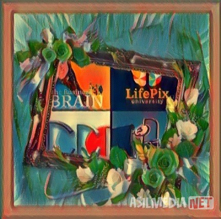 The-business-brain-podcast-by-ST-Rappaport-of-LifePix-University-guest-trainer-Richard-Blank.jpg