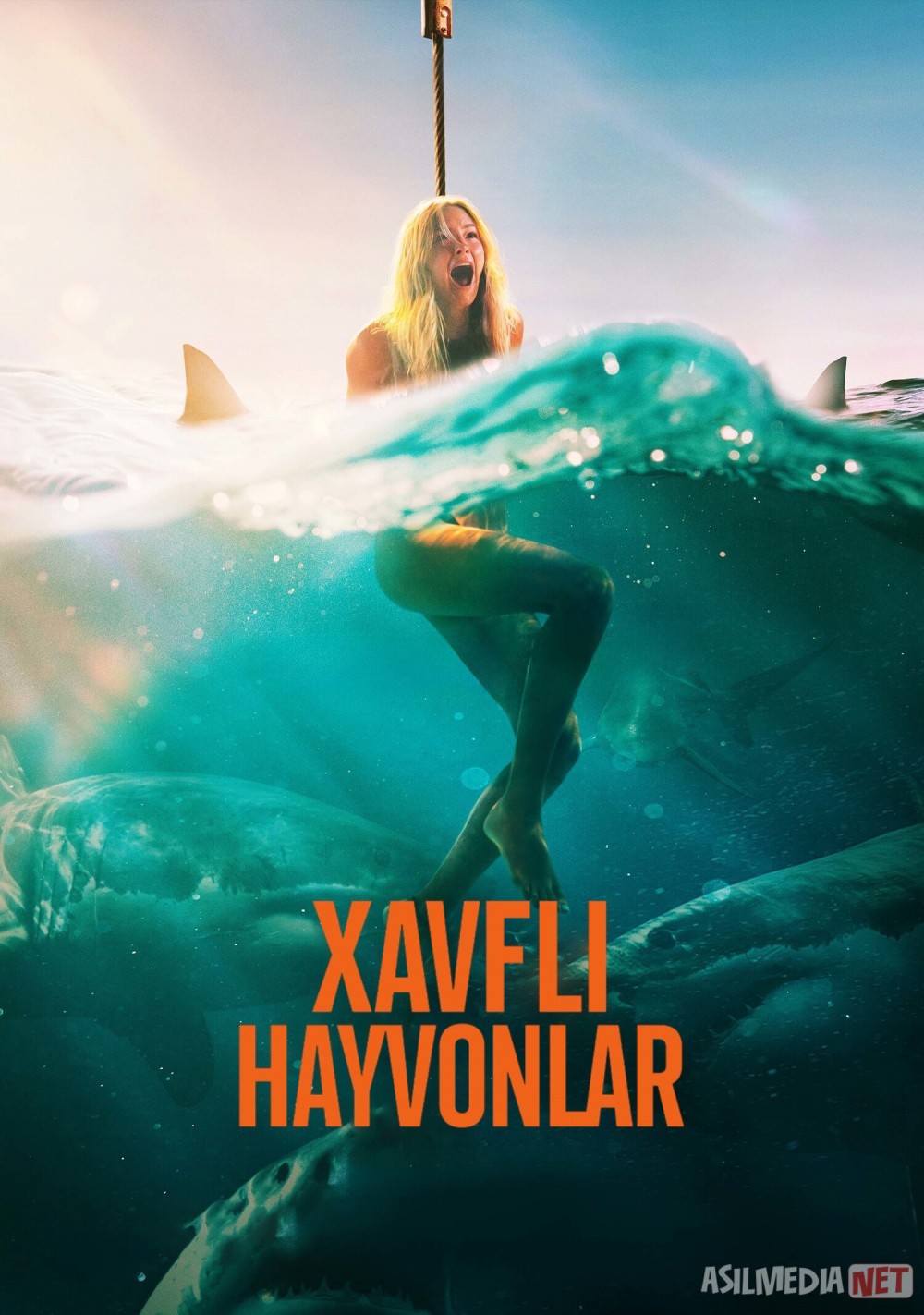 Xavfli hayvonlar / Qo'rqinchli maxluqlar Premyera 2025 Uzbek tilida O'zbekcha tarjima kino Full HD tas-ix skachat