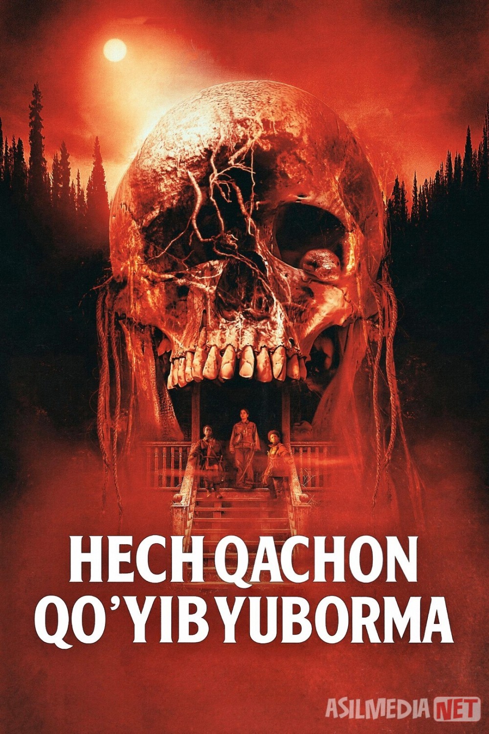 Hech qachon qo'yib yuborma / Yo'qotilgan joy Premyera 2024 Uzbek tilida O'zbekcha tarjima kino Full HD tas-ix skachat