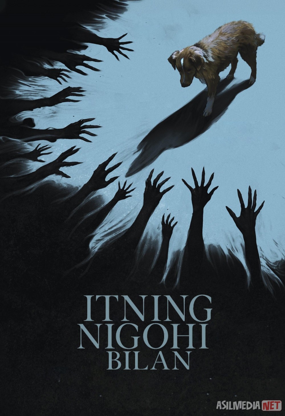 Itning nigohi bilan / Yaxshi kuchuk 2025 Uzbek tilida O'zbekcha tarjima kino Zo'r it / Yaxshi bola / Kuchukning ko'zlarida Full HD tas-ix skachat