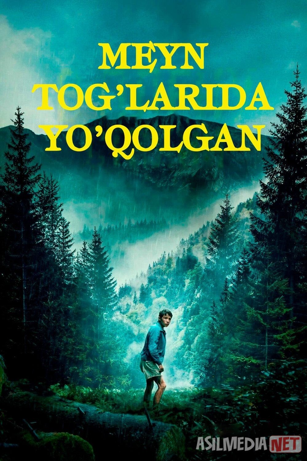 Tabiat asirida / Hayot uchun kurash / Meyn tog'larida yo'qolgan 2024 Uzbek tilida O'zbekcha tarjima kino Full HD tas-ix skachat