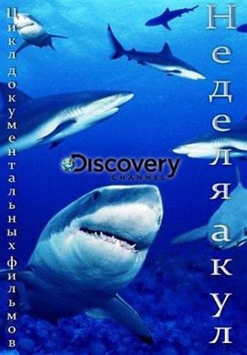 Discovery: Неделя акул 2017 г. (2016)