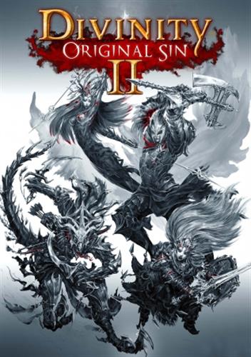 Divinity: Original Sin 2