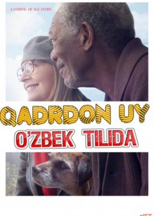 Qadrdon uy Uzbek tilida 2014 O'zbek tarjima tas-ix skachat