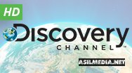 Discovery HD