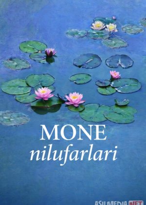 Mone nilufarlari / Klod Mone: Suv va yorug‘lik sehri 2018 Uzbek tilida O'zbekcha tarjima kino Full HD tas-ix skachat