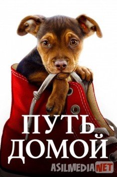 Uyga yo'l / Путь домой HD tas-ix skachat download