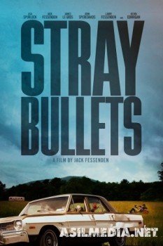 Шальные пули