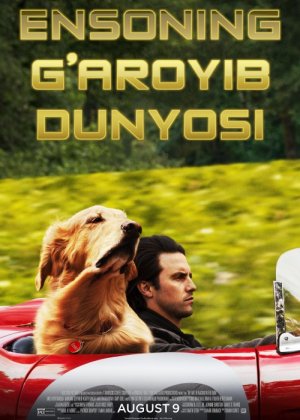 Ensoning g'aroyib hayoti / Yomg'irdagi poyga Uzbek tilida 2019 kino HD
