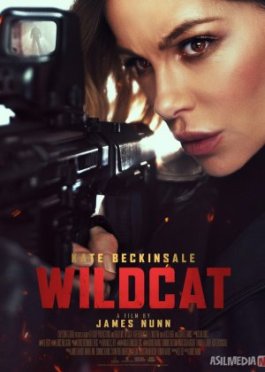 Yovvoyi mushuk / Mukammal firibgarlik / Ideal o'g'rilik / 12 soat Uzbek tilida 2025 O'zbekcha tarjima kino Full HD tas-ix skachat