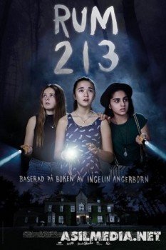 Комната 213