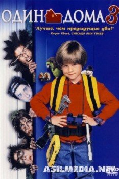 Один дома 3