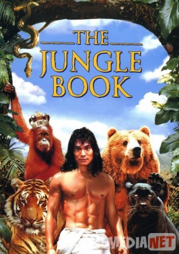 Shisha qutidagi onlayn pikap rassomi