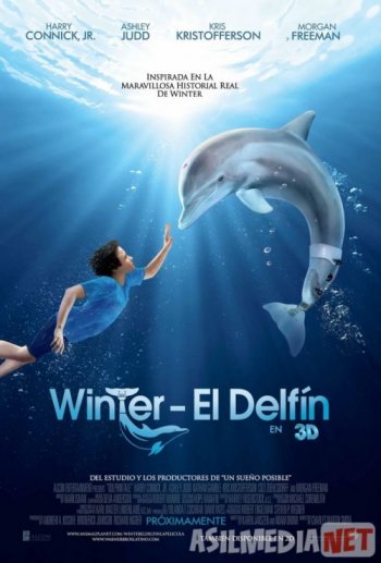 Mast porno onlayn tomosha qiling