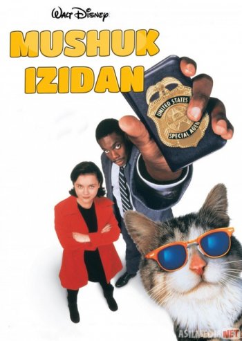 Porno onlayn tomosha qiling, mushuk bilan yuzma-yuz otirdi Uzbek seks Diana