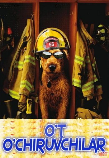 Ayollar onanizm videolarining noodatiy usullari