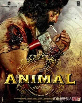 Yosh mushuk katta xoroz