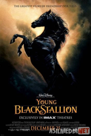 Jinsiy aloqa paytida u ogriqdan qichqirdi. Tomosha qiling. Qor oq va yetti mitti porno multfilm