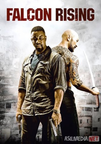 Buzuq yapon dasturlari