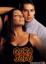 Qora jodu / Sir Hind kino 2002 Uzbek tilida O'zbekcha tarjima kino Full HD tas-ix skachat