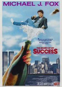 Секрет моего успеха / The Secret of My Succe$s TAS-IX