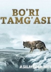 Bo'ri tamg'asi Uzbek tilida O'zbekcha tarjima kino HD