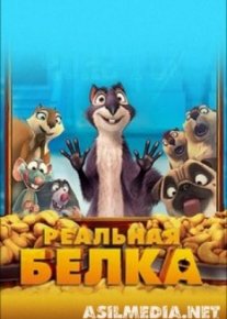 Реальная белка