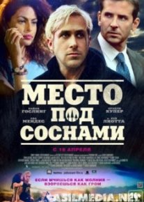 Место под соснами