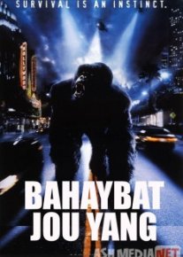 Bahaybat Jou Yang Uzbek O`zbek tilida tas-ix skachat download