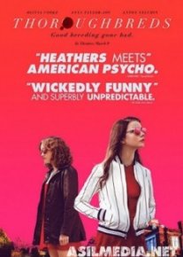 Чистокровные