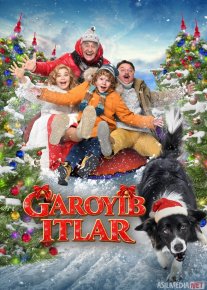 G'aroyib itlar / Mening itlik vazifam 2024 Uzbek tilida O'zbekcha tarjima kino Full HD tas-ix skachat