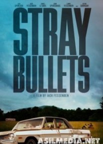 Шальные пули