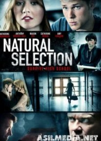 Естественный отбор