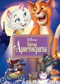 Коты-аристократы